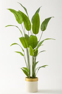 Yapay Starliçe Ağacı