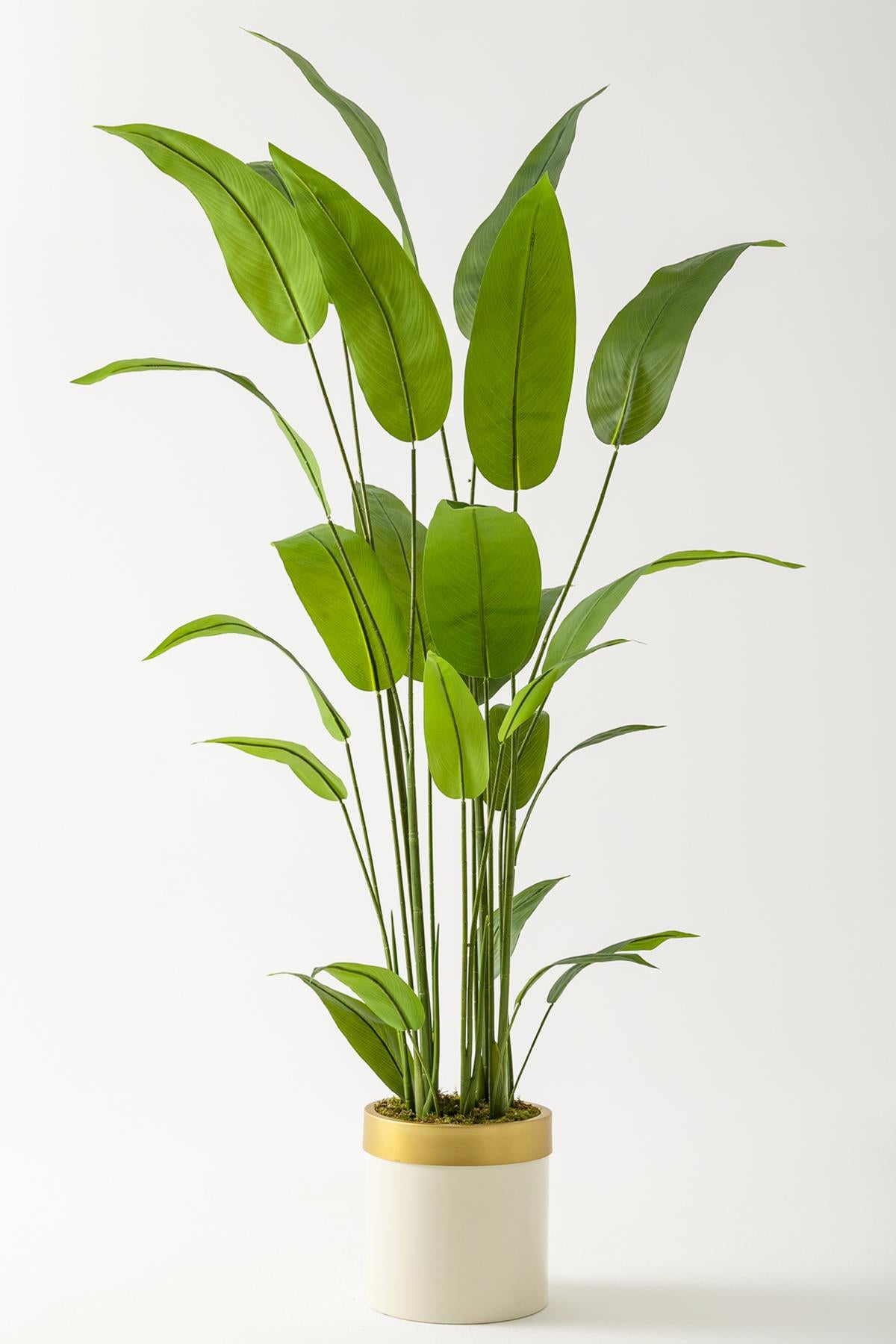 Yapay Starliçe Ağacı