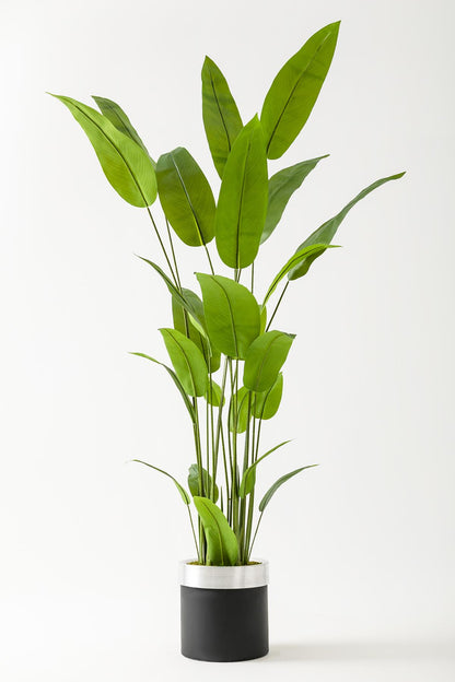 Yapay Starliçe Ağacı