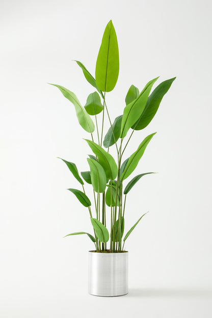 Yapay Starliçe Ağacı