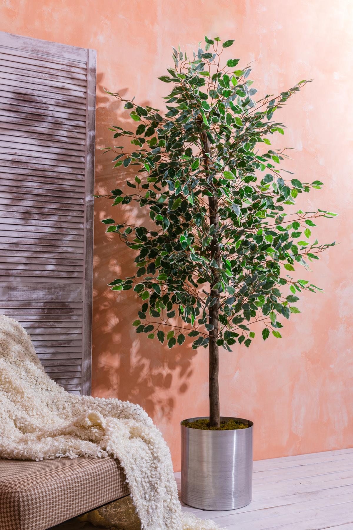 Yapay Starlight Benjamin Ağacı 180 Cm