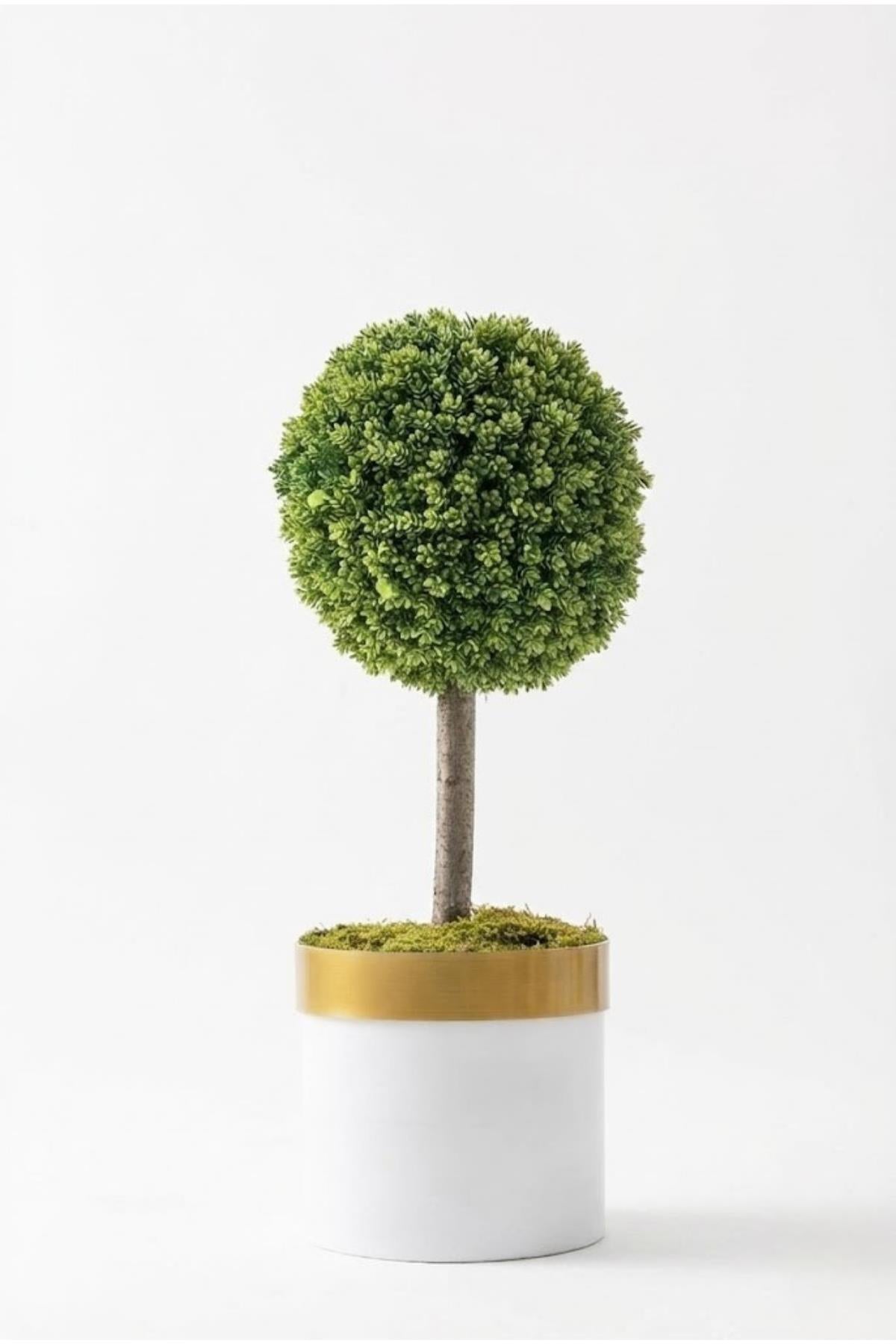 Yapay Top Çamdalı Ağacı