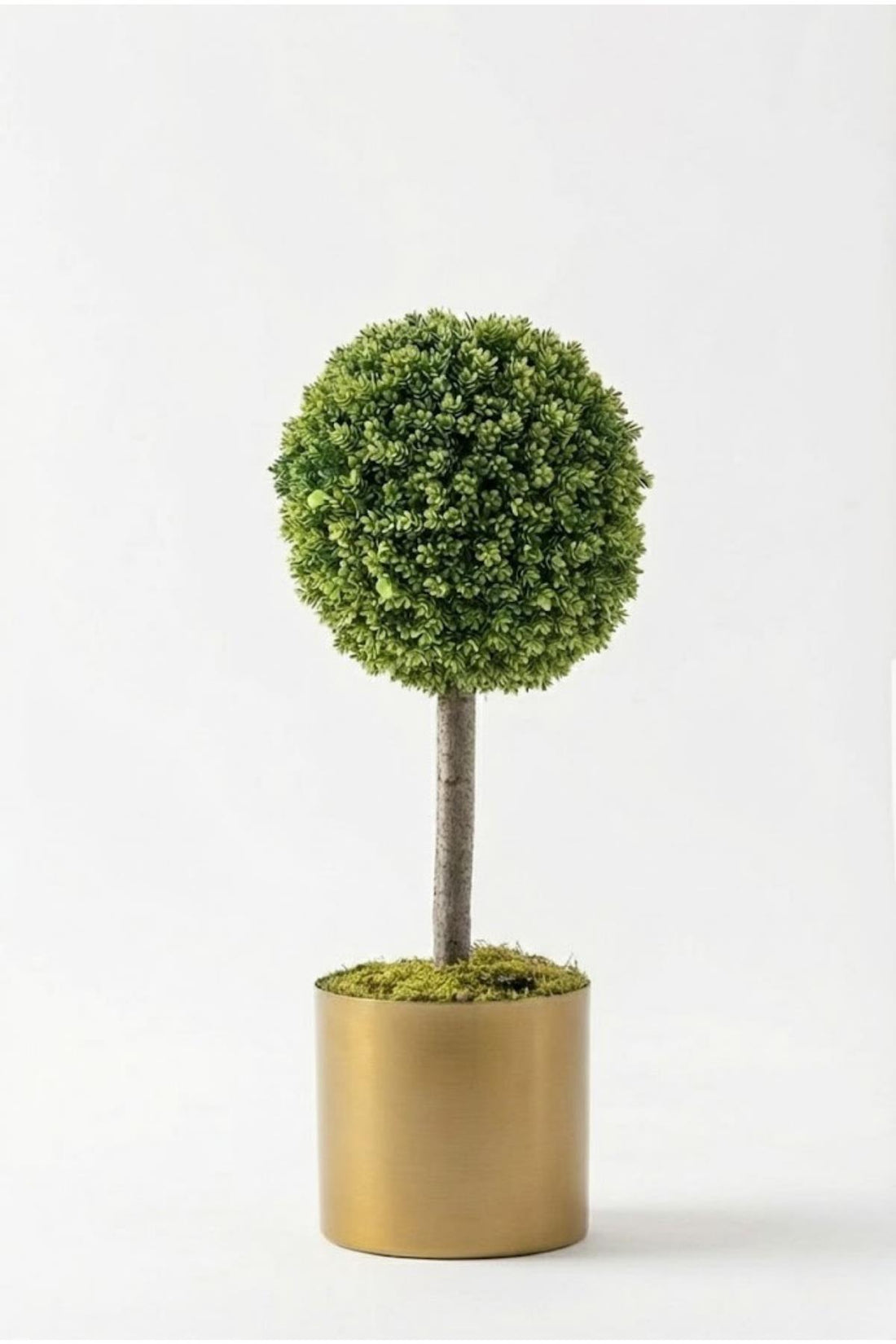 Yapay Top Çamdalı Ağacı