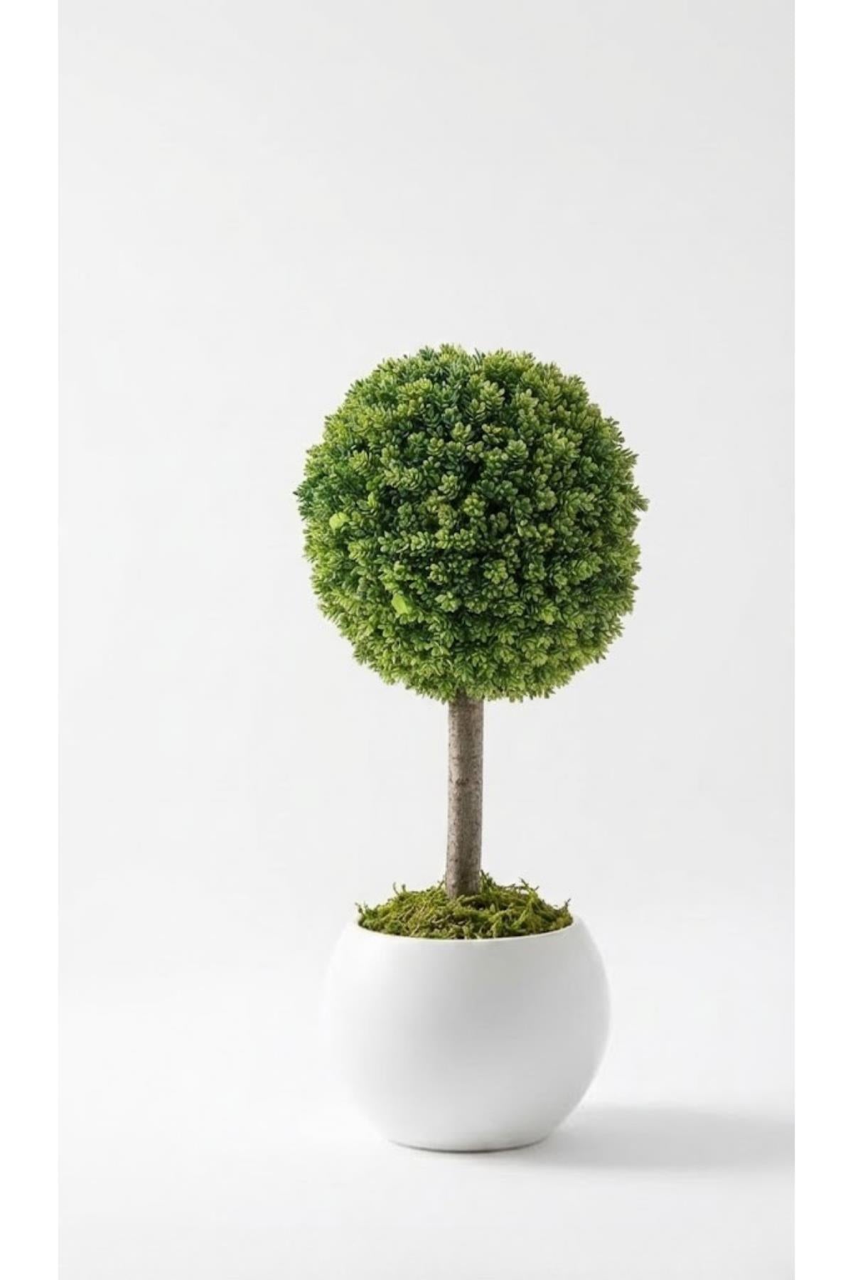 Yapay Top Çamdalı Ağacı