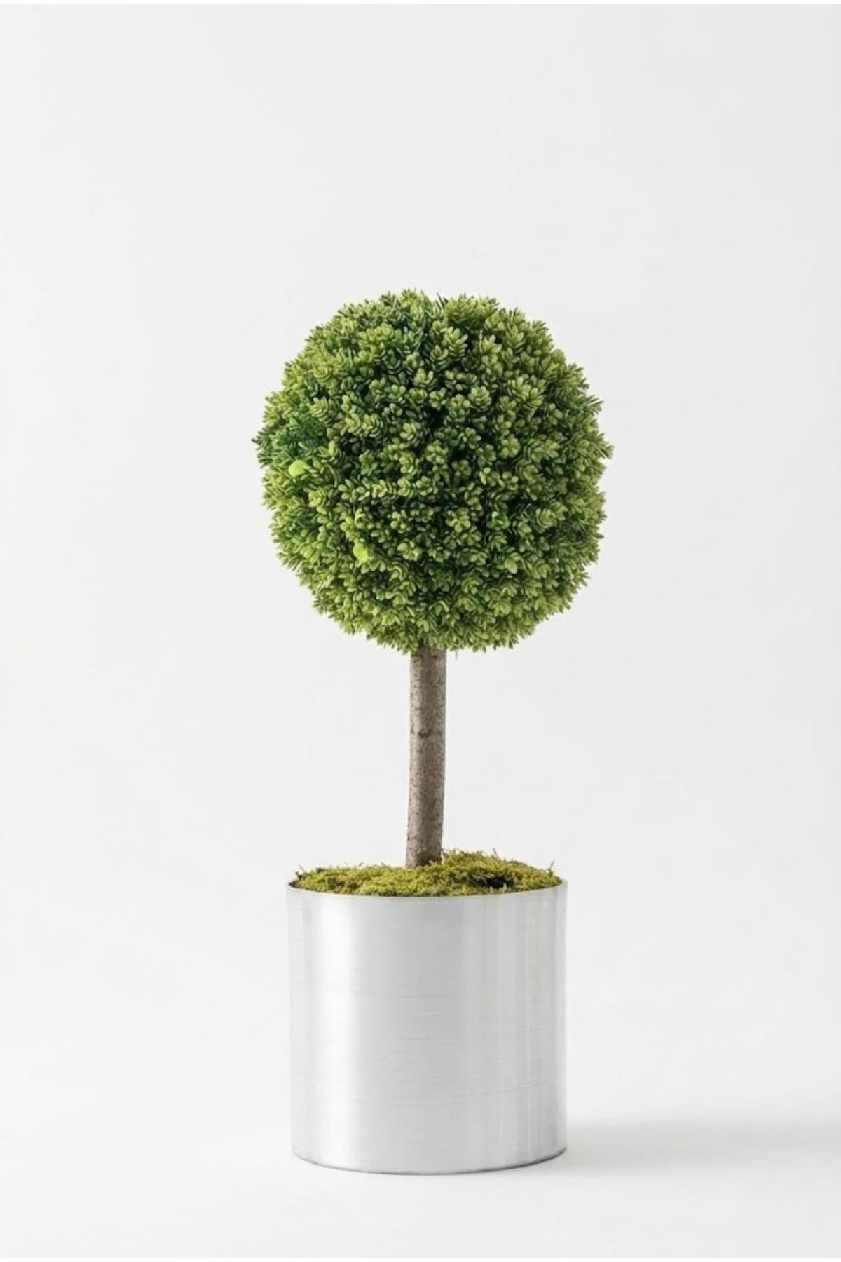 Yapay Top Çamdalı Ağacı