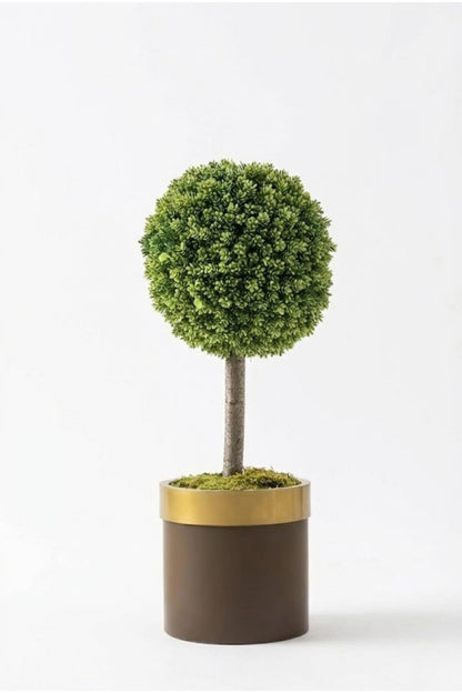 Yapay Top Çamdalı Ağacı