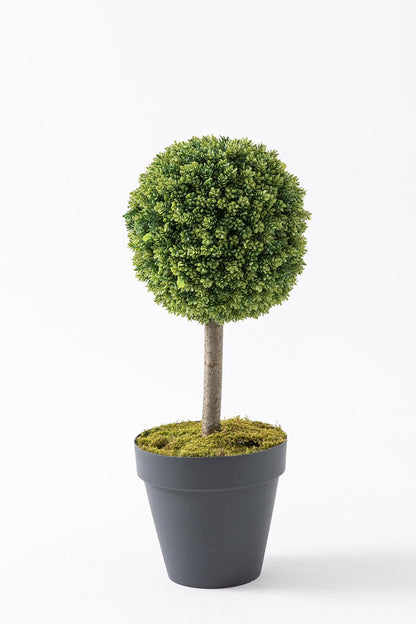 Yapay Top Çamdalı Ağacı