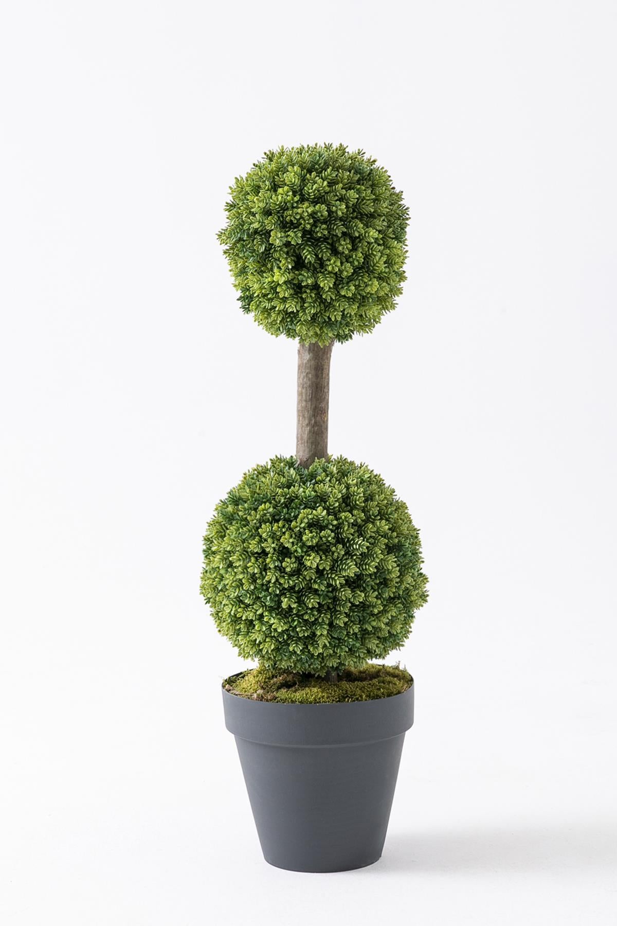 Yapay Top Çamdalı Ağacı