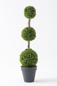 Yapay Top Çamdalı Ağacı