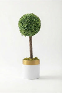 Yapay Top Şimşir Ağacı