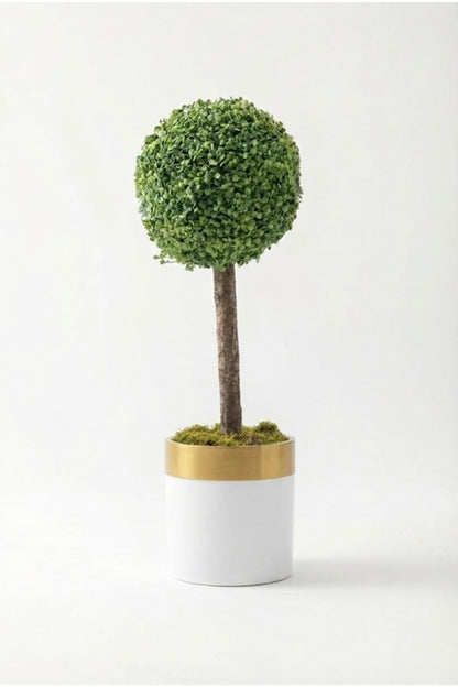 Yapay Top Şimşir Ağacı