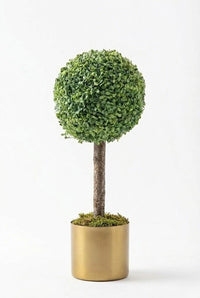 Yapay Top Şimşir Ağacı