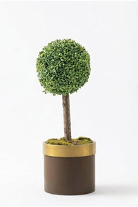 Yapay Top Şimşir Ağacı