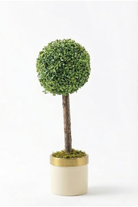 Yapay Top Şimşir Ağacı