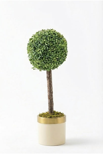 Yapay Top Şimşir Ağacı