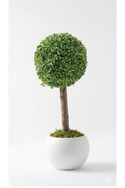 Yapay Top Şimşir Ağacı