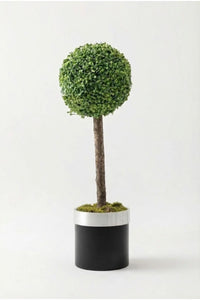 Yapay Top Şimşir Ağacı