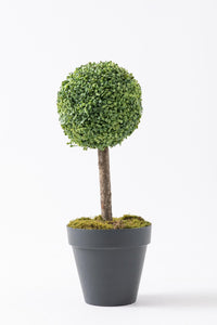 Yapay Top Şimşir Ağacı