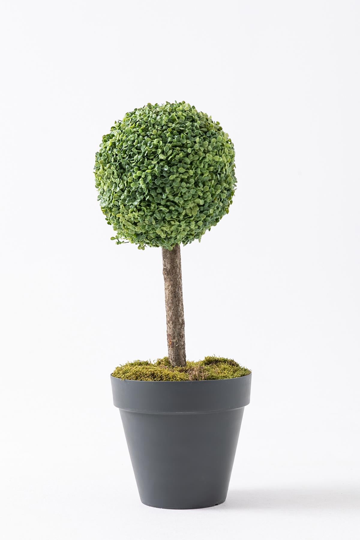 Yapay Top Şimşir Ağacı