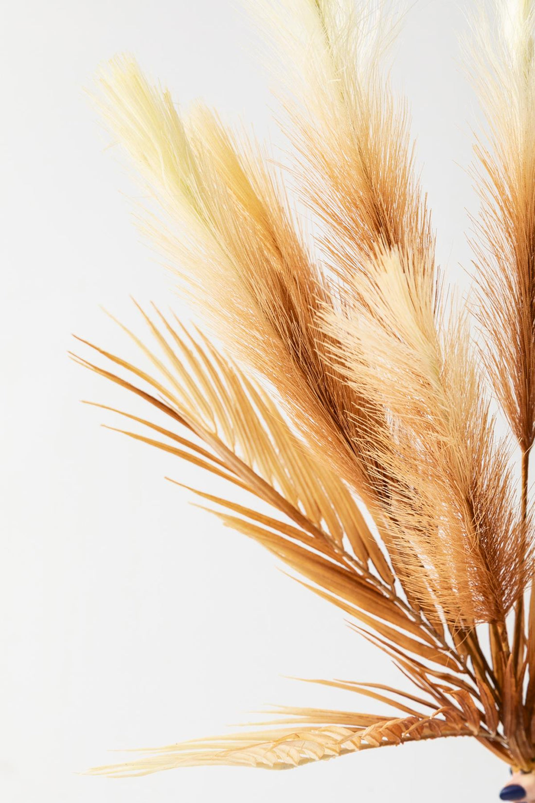 Yapay Tüylü Palmiye Yaprağı 75 Cm 8 Dal Kahverengi