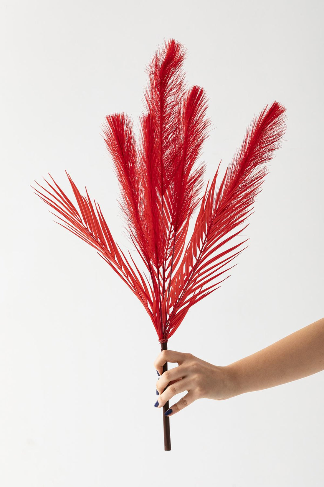 Yapay Tüylü Palmiye Yaprağı 75 Cm 8 Dal Kırmızı