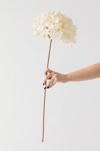 Yapay Vazo Çiçeği Ortanca 75 Cm 5 Dal Krem