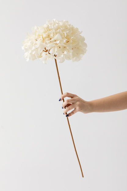 Yapay Vazo Çiçeği Ortanca 75 Cm 5 Dal Krem