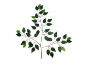 Yapay Yeşil Benjamin Yaprağı