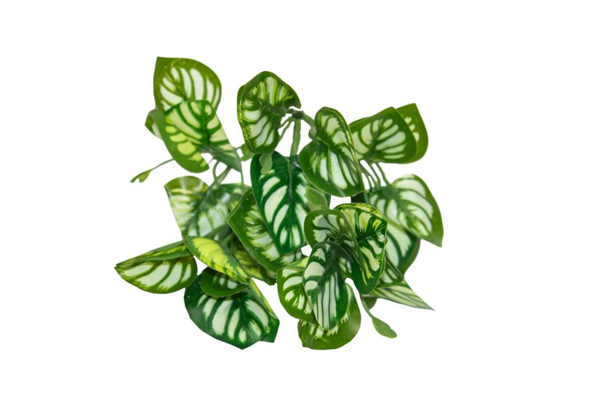 Yapay Yeşillik Beyaz Benekli