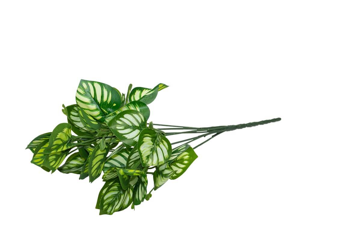 Yapay Yeşillik Beyaz Benekli