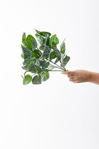 Yapay Yeşillik Demeti Yeşil Beyaz 40 cm 5 Dal