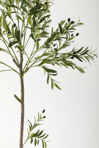 Yapay Zeytin Ağacı 160 Cm Beyaz Gold Metal Saksı