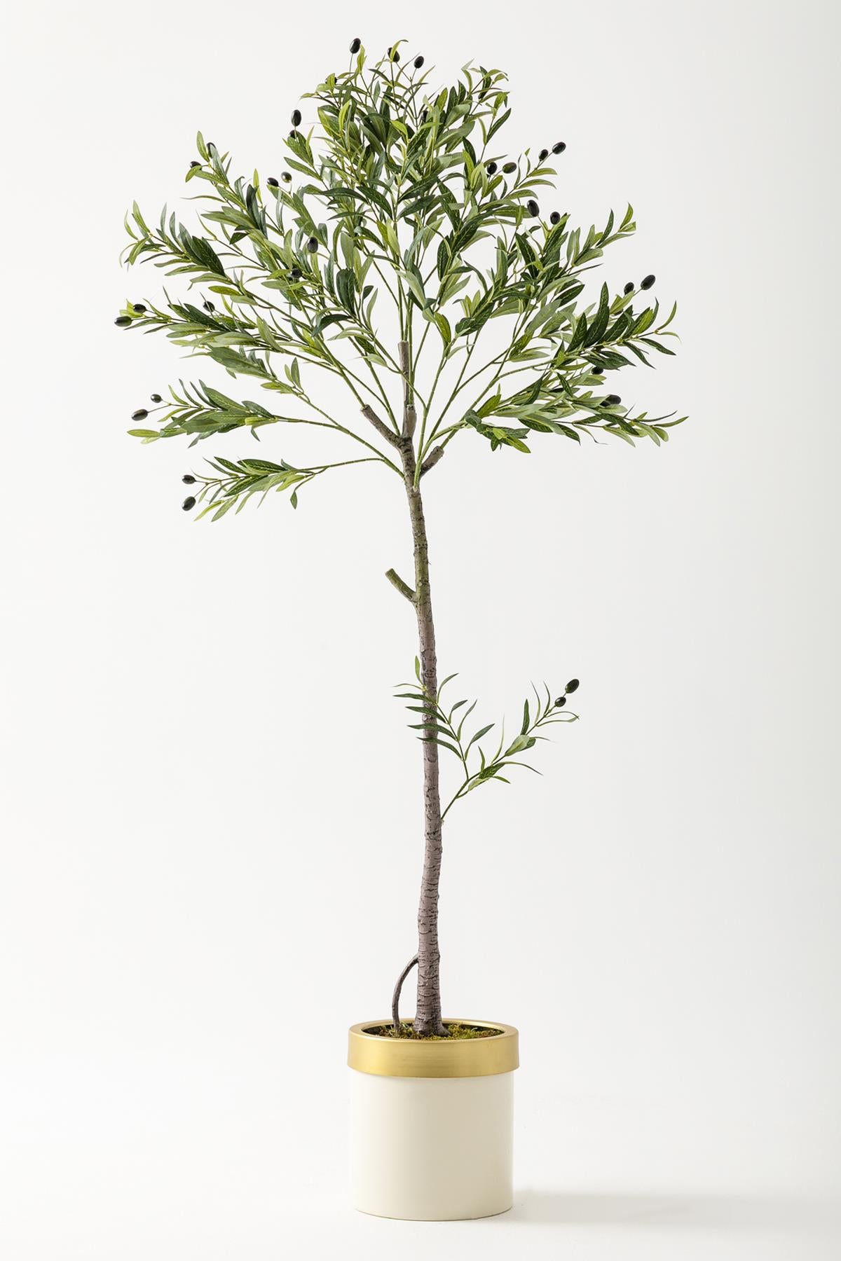 Yapay Zeytin Ağacı 160 Cm Krem Gold Metal Saksı