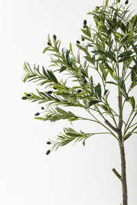 Yapay Zeytin Ağacı 160 Cm Krem Gold Metal Saksı