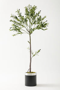 Yapay Zeytin Ağacı 160 Cm Siyah Gümüş Metal Saksı