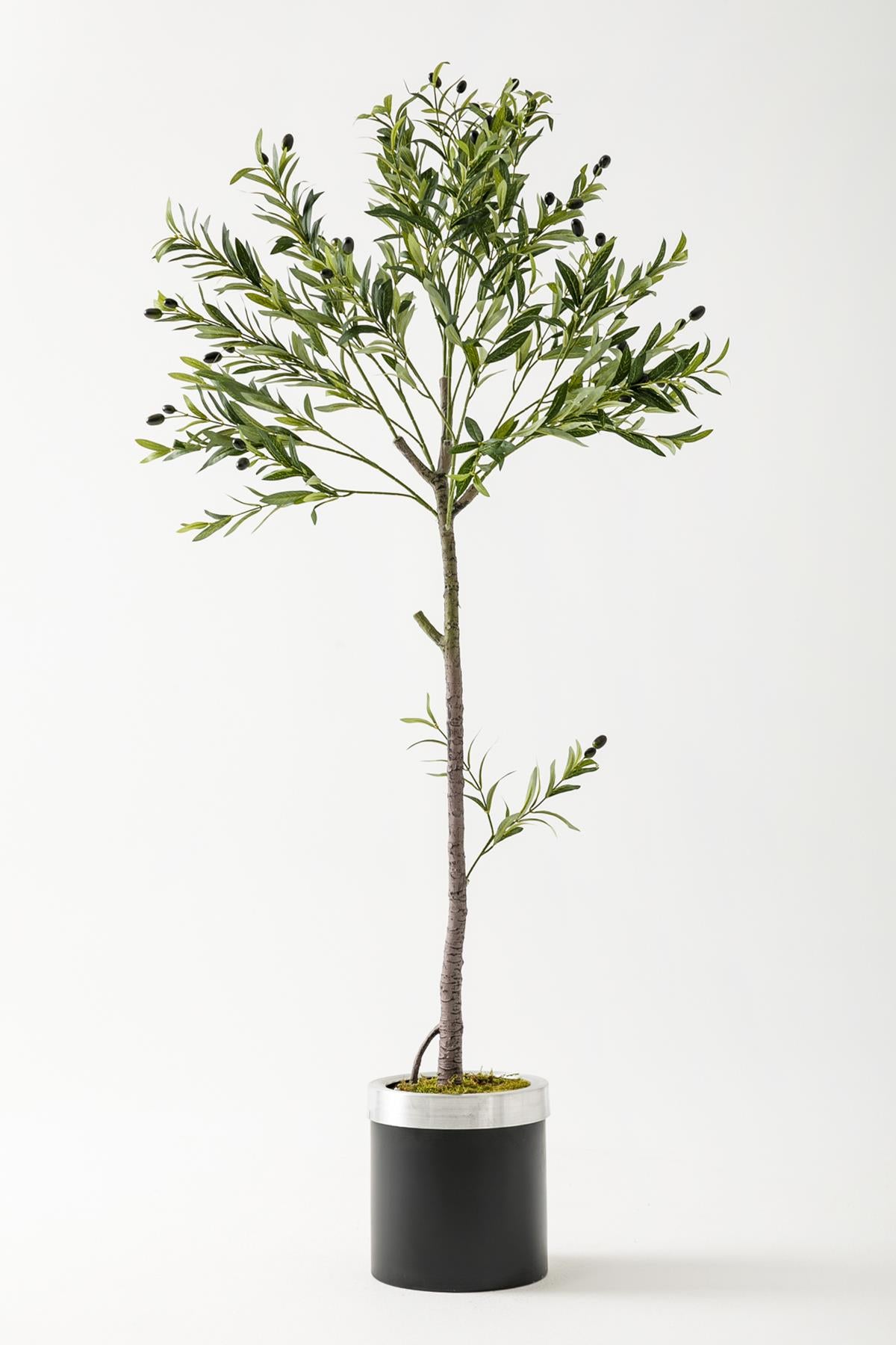 Yapay Zeytin Ağacı 160 Cm Siyah Gümüş Metal Saksı