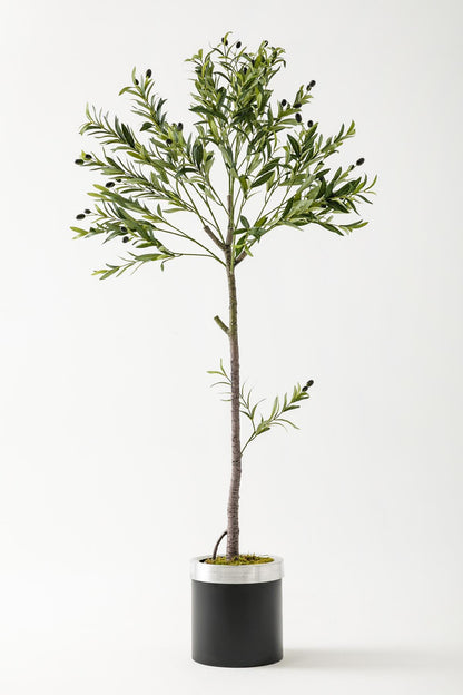 Yapay Zeytin Ağacı 160 Cm Siyah Gümüş Metal Saksı