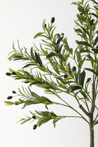 Yapay Zeytin Ağacı 160 Cm Siyah Gümüş Metal Saksı