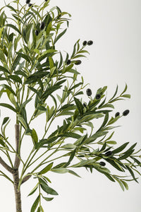 Yapay Zeytin Ağacı 160 Cm Siyah Gümüş Metal Saksı