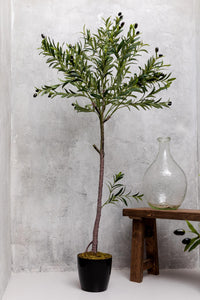 Yapay Zeytin Ağacı 160 cm Tek Gövdeli Doğal Gerçek Görünümlü Yapay Ağaç