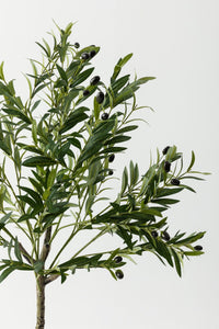 Yapay Zeytin Ağacı 160 cm Tek Gövdeli Doğal Gerçek Görünümlü Yapay Ağaç