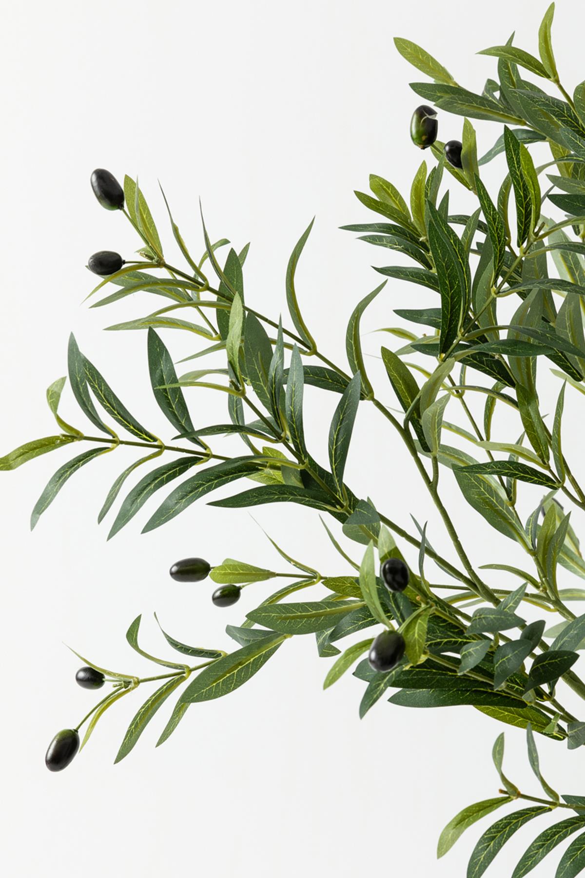 Yapay Zeytin Ağacı 160 cm Tek Gövdeli Doğal Gerçek Görünümlü Yapay Ağaç