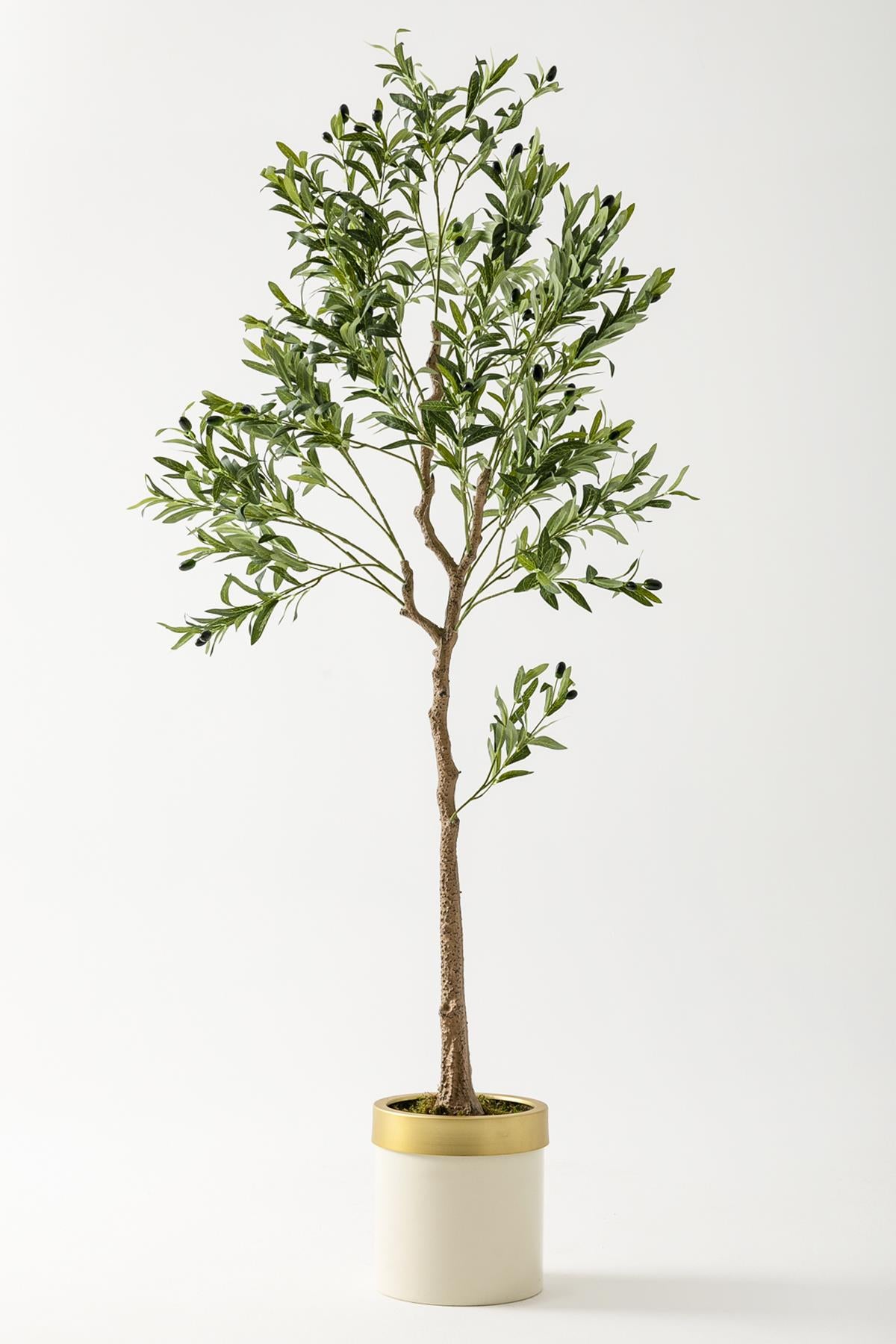 Yapay Zeytin Ağacı 175 Cm Krem Gold Metal Saksı