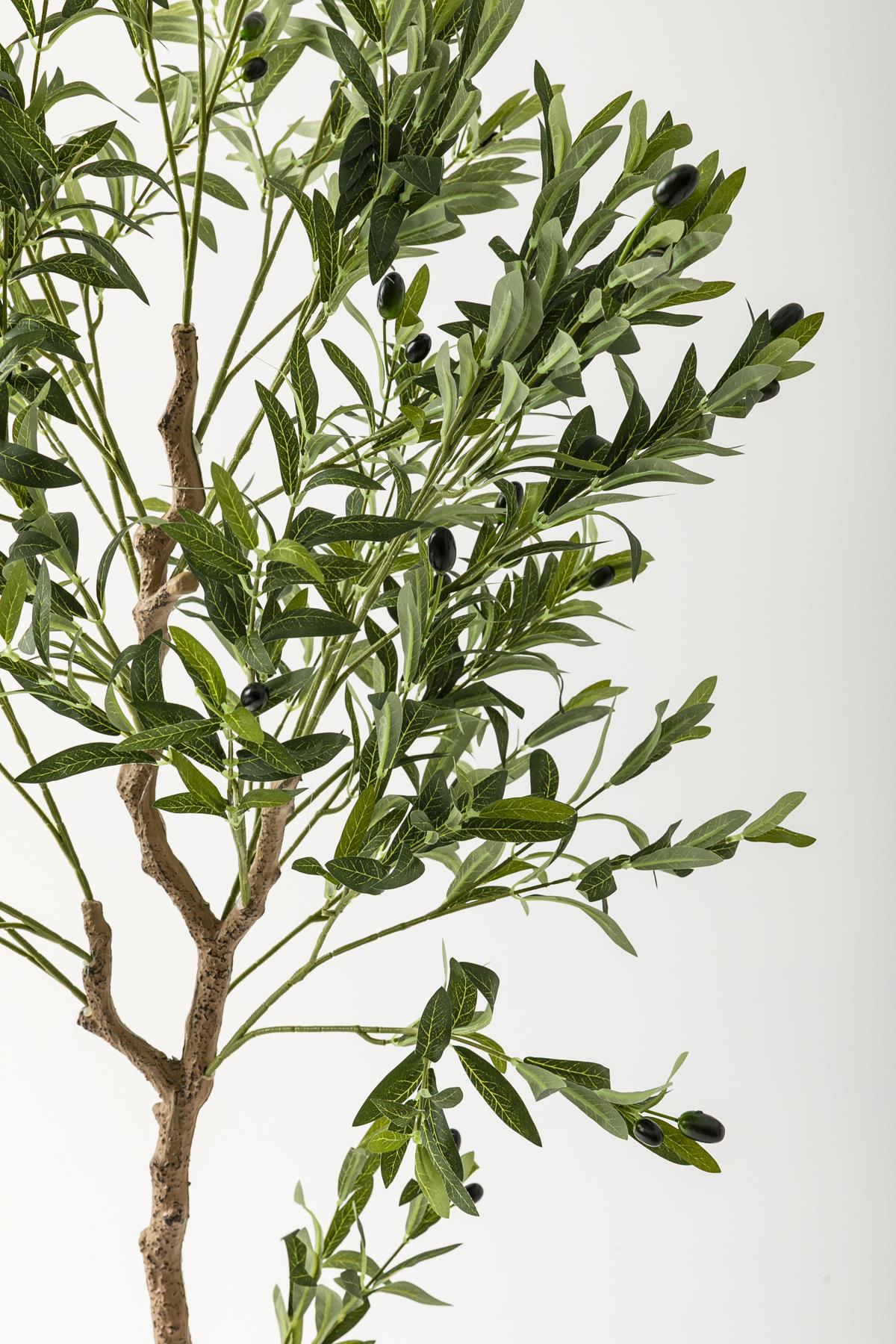 Yapay Zeytin Ağacı 175 Cm Krem Gold Metal Saksı