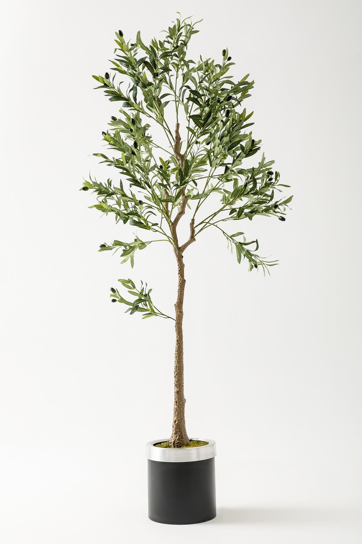 Yapay Zeytin Ağacı 175 Cm Siyah Gümüş Metal Saksı