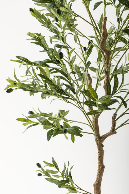 Yapay Zeytin Ağacı 175 Cm Siyah Gümüş Metal Saksı