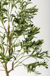 Yapay Zeytin Ağacı 175 Cm Siyah Gümüş Metal Saksı