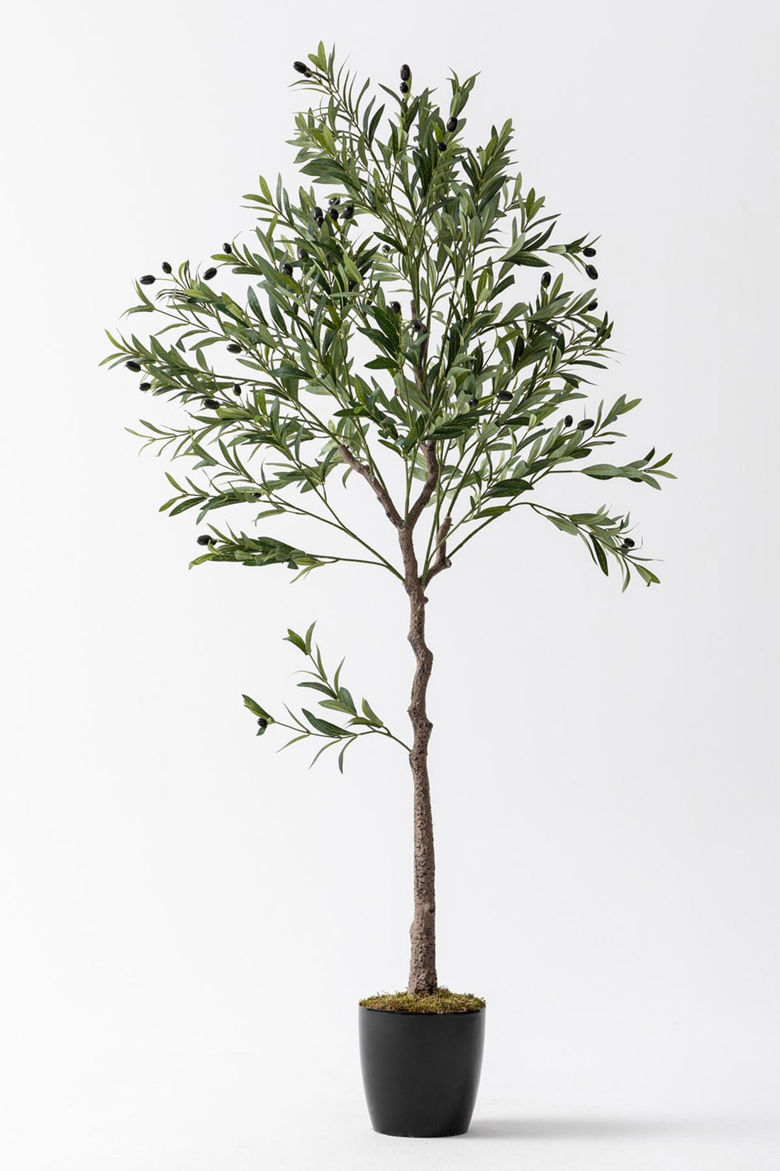 Yapay Zeytin Ağacı 175 cm Tek Gövdeli Doğal Gerçek Görünümlü Yapay Ağaç