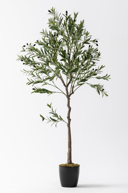 Yapay Zeytin Ağacı 175 cm Tek Gövdeli Doğal Gerçek Görünümlü Yapay Ağaç