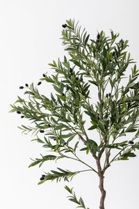 Yapay Zeytin Ağacı 175 cm Tek Gövdeli Doğal Gerçek Görünümlü Yapay Ağaç